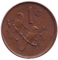 Монета 1 цент. 1981 год, ЮАР. Воробьи. Монета 1 цент. 1981 год, ЮАР. Воробьи.
