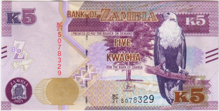 Банкнота 5 квача. 2021 год, Замбия. Орлан-крикун.
