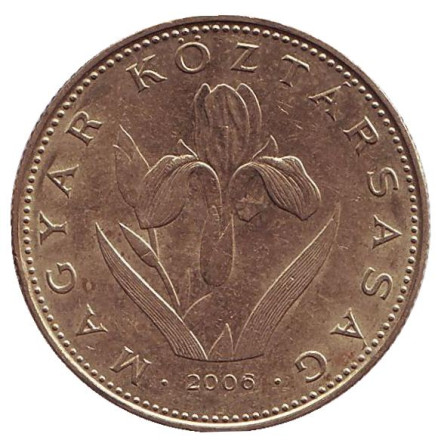 Монета 20 форинтов. 2006 год, Венгрия. Венгерский ирис.