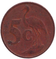 Монета 5 центов. 1998 год, Южная Африка. Африканская красавка.