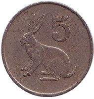Монета 5 центов. 1990 год, Зимбабве. Кролик. Монета 5 центов. 1990 год, Зимбабве. Кролик.