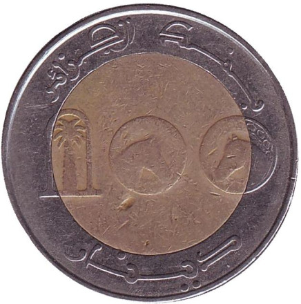 Монета 100 динаров. 1993 год, Алжир. Лошадь. Монета 100 динаров. 1993 год, Алжир. Лошадь.