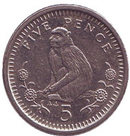 Монета 5 пенсов. 1990 год, Гибралтар. Варварийская обезьяна. (AA).