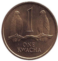 Монета 1 квача. 1992 год, Замбия. Соколы. Монета 1 квача. 1992 год, Замбия. Соколы.