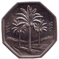 Монета 250 филсов. 1990 год, Ирак. Пальмовые деревья. Монета 250 филсов. 1990 год, Ирак. Пальмовые деревья.