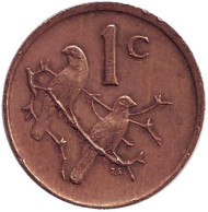 Монета 1 цент. 1986 год, ЮАР. Воробьи. Монета 1 цент. 1986 год, ЮАР. Воробьи.