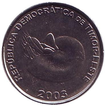 Монета 1 сентаво. 2003 год, Восточный Тимор. Моллюск Наутилус.