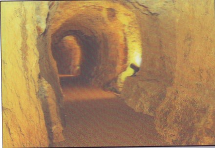 shah-4.jpg shah-4.jpg