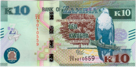 Банкнота 10 квача. 2020 год, Замбия. Орлан-крикун.