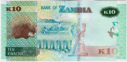 Банкнота 10 квача. 2020 год, Замбия. Орлан-крикун. Банкнота 10 квача. 2020 год, Замбия. Орлан-крикун.