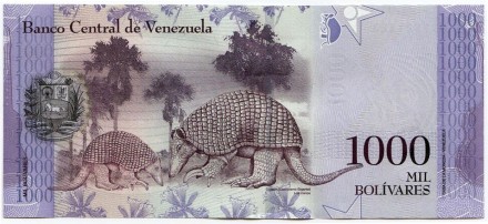 Банкнота 1000 боливаров. 2016 год, Венесуэла. Банкнота 1000 боливаров. 2016 год, Венесуэла.