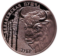 Монета 1 рубль. 2001 год, Беларусь. Зубр. Беловежская пуща. Монета 1 рубль. 2001 год, Беларусь. Зубр. Беловежская пуща.