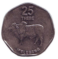 Монета 25 тхебе. 2009 год, Ботсвана. Дикий бык (зебу). Монета 25 тхебе. 2009 год, Ботсвана. Дикий бык (зебу).