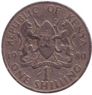Монета 1 шиллинг. 1980 год, Кения.