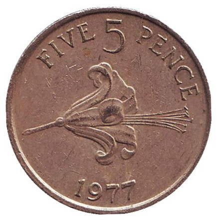Монета 5 пенсов. 1977 год, Гернси. Лилия.