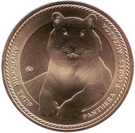 Амурский тигр. Московский зоопарк. Памятный жетон, ММД. (Латунь). 