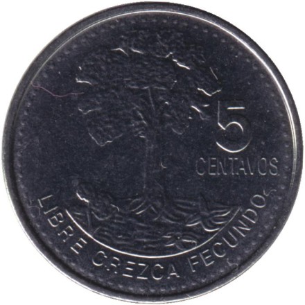 Монета 5 сентаво. 2018 год, Гватемала. Хлопковое дерево. Монета 5 сентаво. 2018 год, Гватемала. Хлопковое дерево.