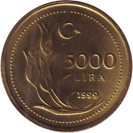 Монета 5000 лир. 1999 год, Турция.